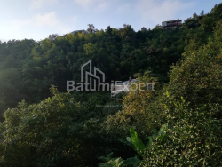 בית פרטי 4-комн 2501 m² - אקאקי שיינידזה, Khelvachauri