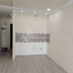 דירה 34 מ"ר - ניקו פירוסמני, Batumi, גאורגיה