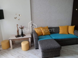 דירה 35.6 מ"ר - ניקו פירוסמני, Batumi, גאורגיה