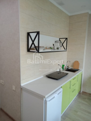 דירה 33 מ"ר - שלווה אינסרידזה, Batumi, גאורגיה
