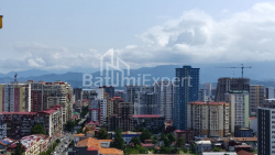 דירה 59.19 מ"ר - איליה צ'בצ'וואדזה, Batumi, גאורגיה