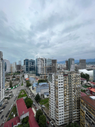 דירה 51 מ"ר - ניקו פירוסמני, Batumi, גאורגיה