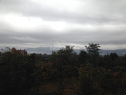 דירה 37 מ"ר - שריף חימשיאשווילי, Batumi, גאורגיה